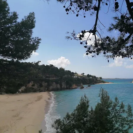 Loft アルゴストリオン