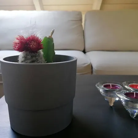 Loft 4* Αργοστόλι